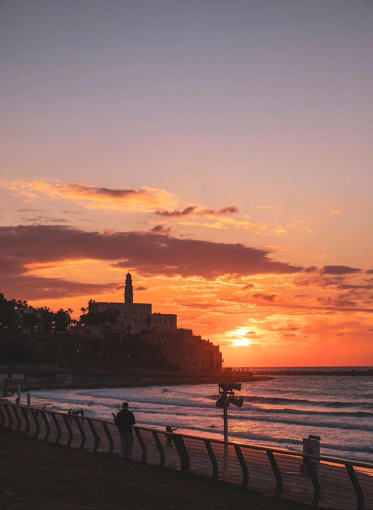 %ED%85%94%EC%95%84%EB%B9%84%EB%B8%8C_Charles_Clore_Park_2.jpg?type=w1200