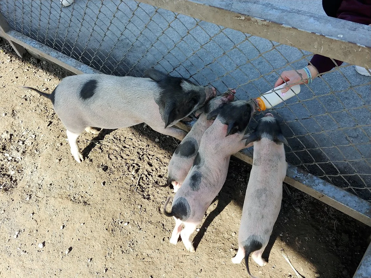 03%EC%8B%A0%EA%B4%91%EC%9E%90%EC%98%A4%ED%8E%91_%282%29.jpg?type=w1200