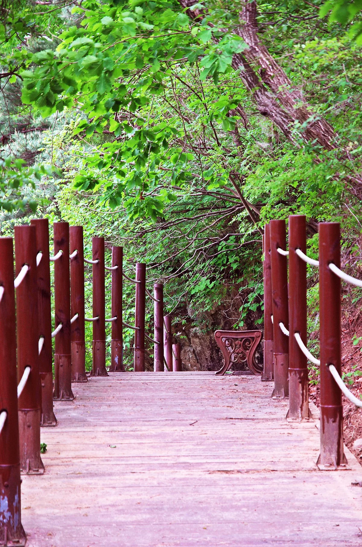 %EA%B2%BD%EB%AA%A8%EC%A0%95%EC%97%90%EC%84%9C_%EB%9E%8C%EC%B2%9C%EC%A0%95%EC%9C%BC%EB%A1%9C_%EA%B0%80%EB%8A%94_%EA%B8%B8._%EC%A0%80_%EC%9D%98%EC%9E%90%EC%97%90_%EC%95%89%EC%95%84_%EC%9E%A0%EC%8B%9C_%EC%89%AC%EC%97%88%EB%8B%A4_%EA%B0%84%EB%8B%A4..JPG?type=w1200