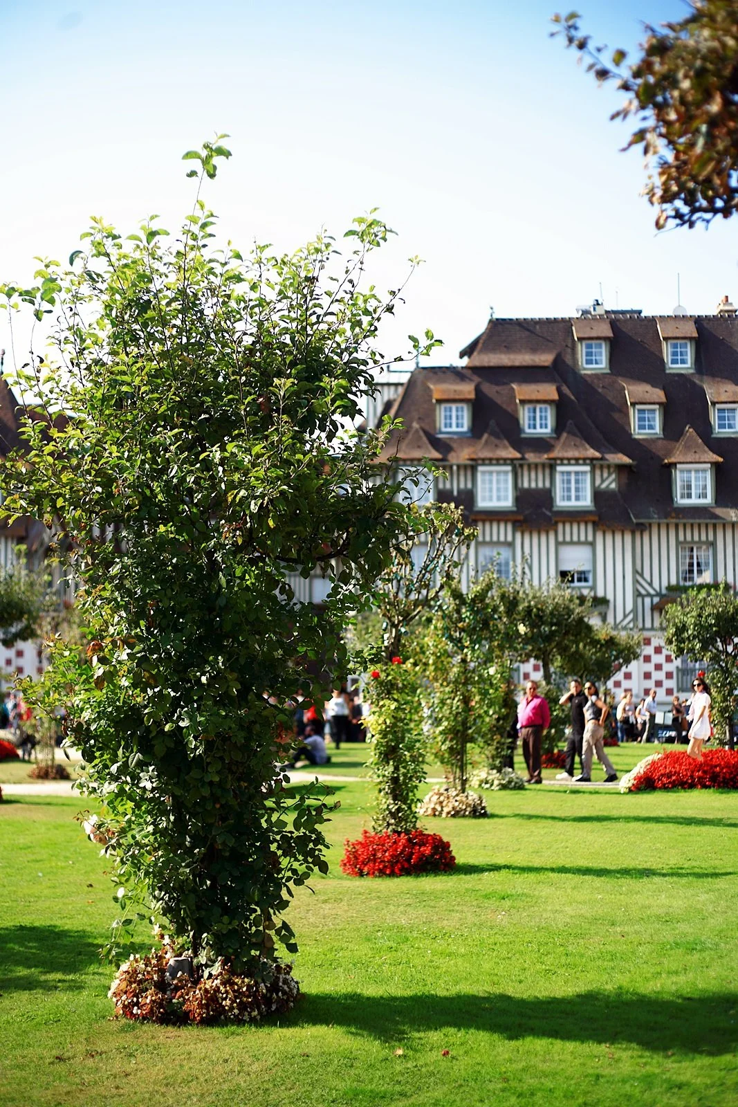 %EB%8F%84%EB%B9%8C_2.JPG?type=w1200