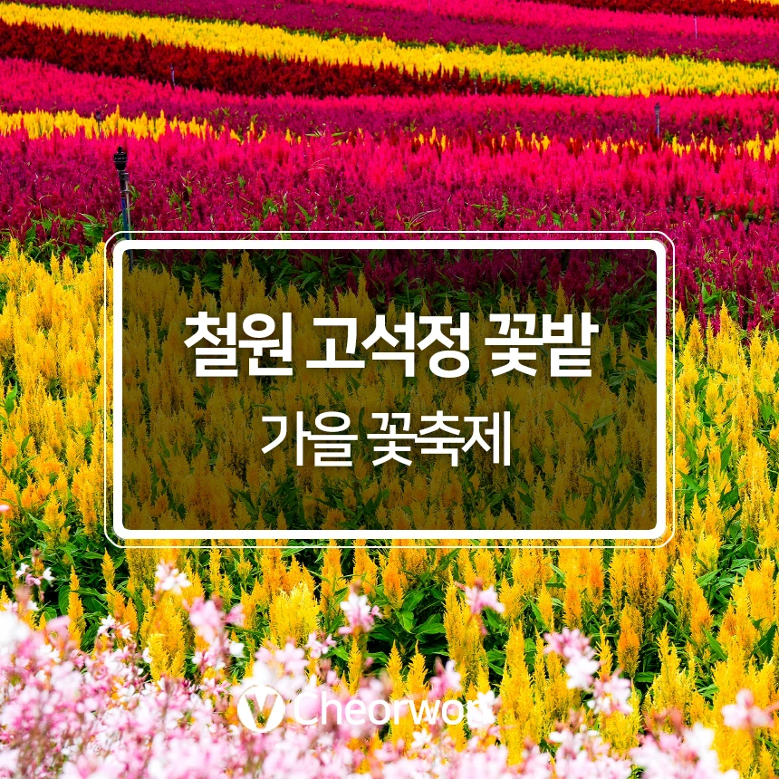 %EC%B2%A0%EC%9B%90%EA%B3%A0%EC%84%9D%EC%A0%95.jpg?type=w966