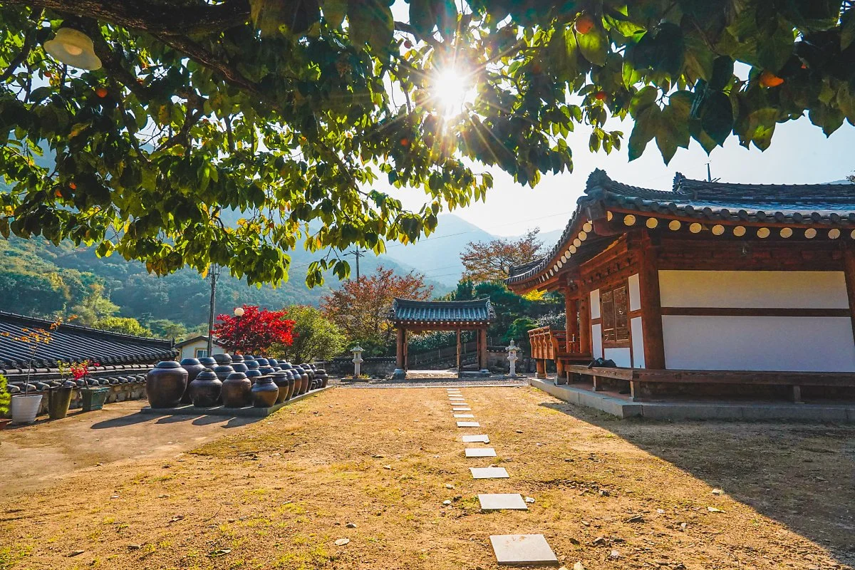 %EC%96%B8%EB%8D%95_%EC%9C%84_%ED%92%8D%EA%B2%BD_%2818%29.jpg?type=w1200