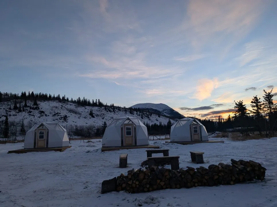 %EC%98%A4%EB%A1%9C%EB%9D%BC_%EB%8F%94_(5).JPG?type=w966