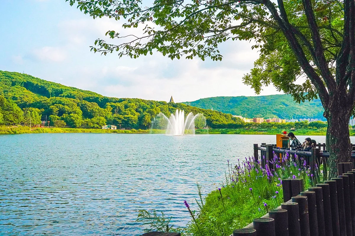 %EC%9C%A8%EB%8F%99%EA%B3%B5%EC%9B%90_%EB%B6%84%EC%88%98%EB%8C%80_%282%29.jpg?type=w1200