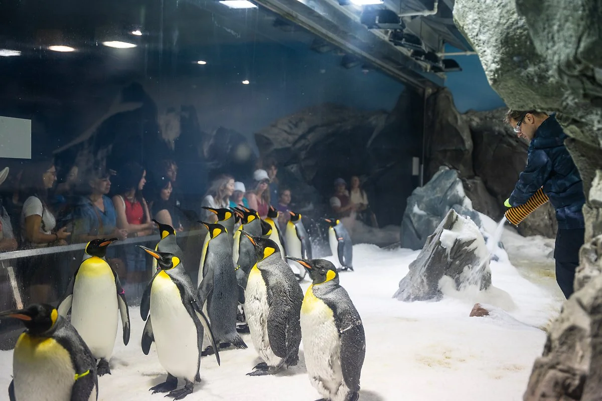 Seaworld_-_2.jpg?type=w1200