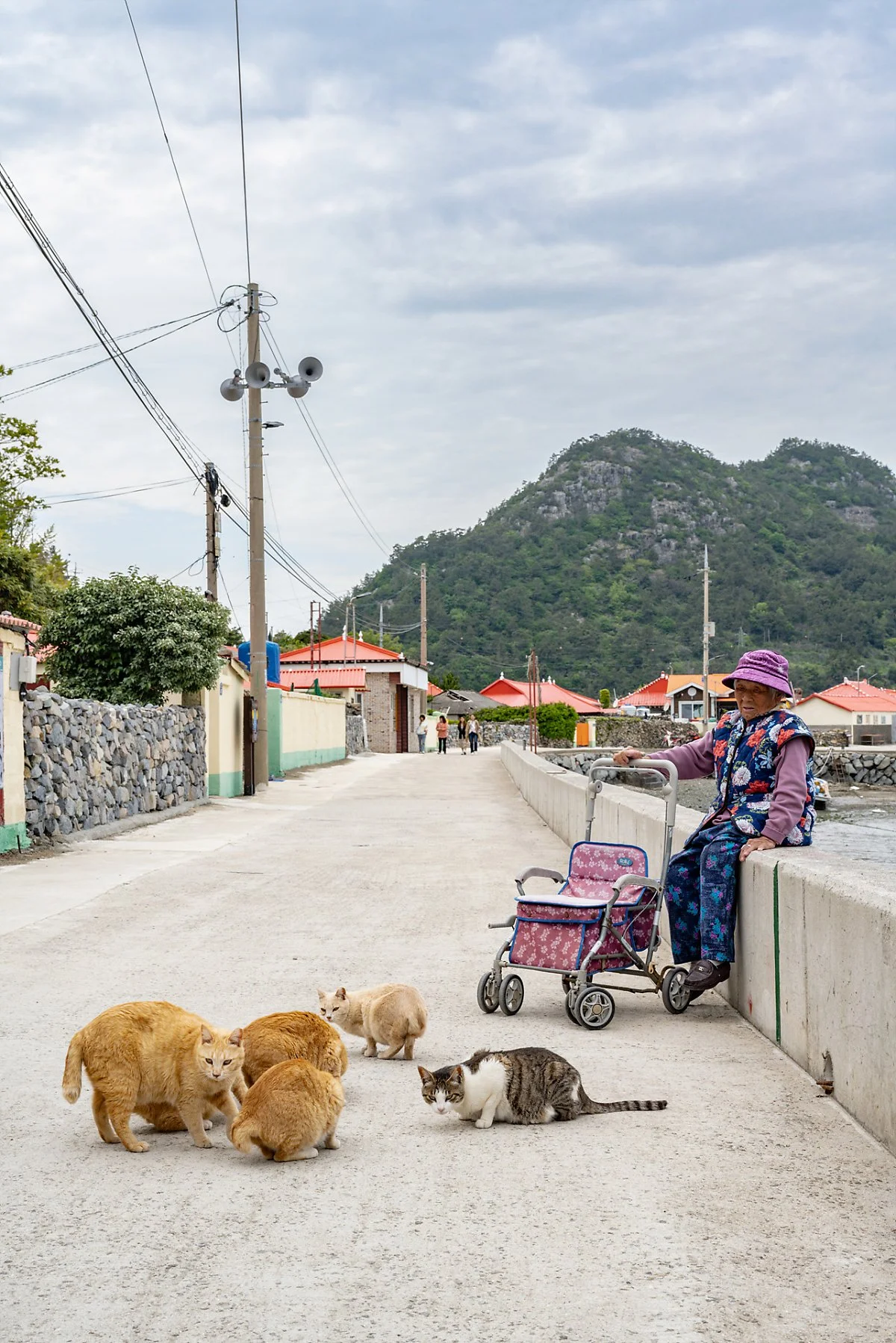 %EA%B3%A0%ED%9D%A5_%EC%91%A5%EC%84%AC_%2813%29%EA%B3%A0%EC%96%91%EC%9D%B4%ED%95%A0%EB%A8%B8%EB%8B%88.jpg?type=w1200