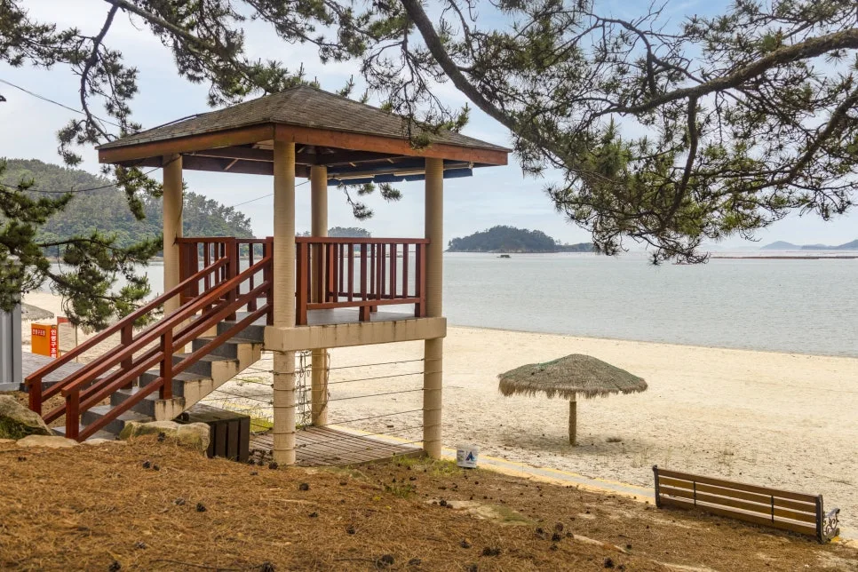 IMG_6781.jpg?type=w966