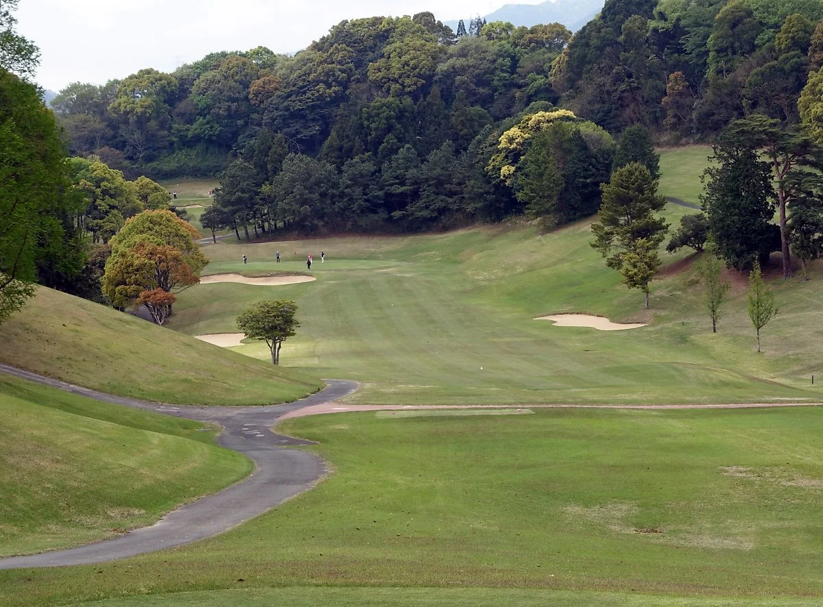 image_3036897131557896209086.jpg?type=w1200