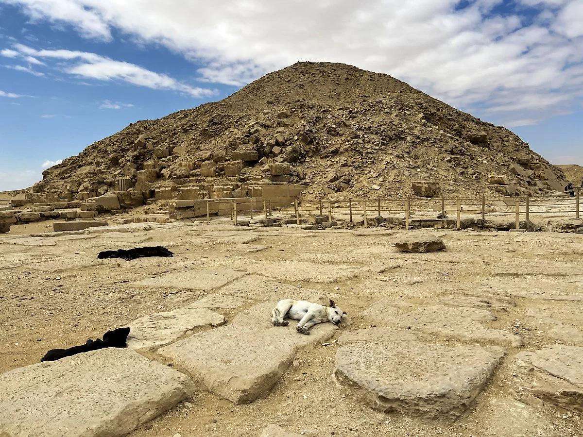 %EC%9A%B0%EB%82%98%EC%8A%A4%EC%9D%98_%ED%94%BC%EB%9D%BC%EB%AF%B8%EB%93%9C.jpg?type=w1200