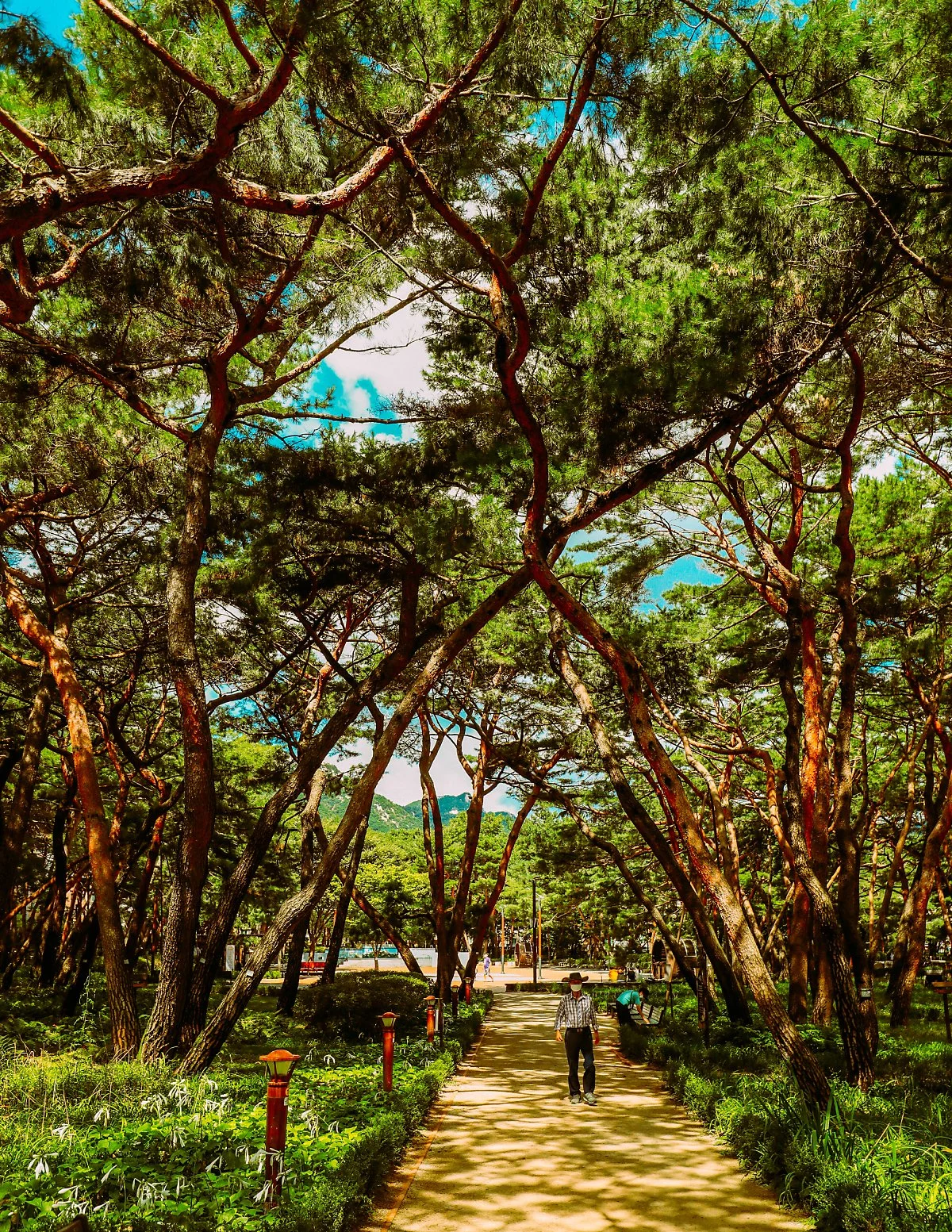 %EB%8F%84%EB%B9%84%EB%9D%BC__%281%29.JPG?type=w1200