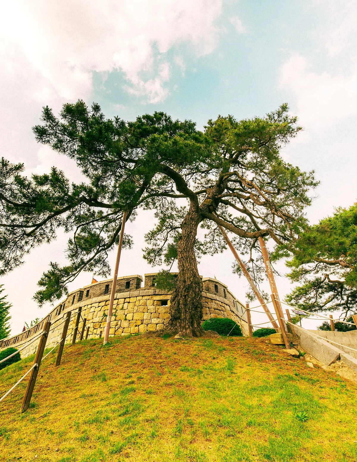 d_%EC%B4%88%EC%A7%80%EC%A7%84_2.JPG?type=w1200