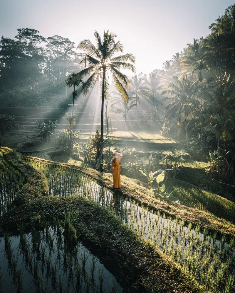 %EB%8F%84%EB%B9%84%EB%9D%BC_%ED%9B%84%EB%B3%B4-DSC09241.jpg?type=w1200