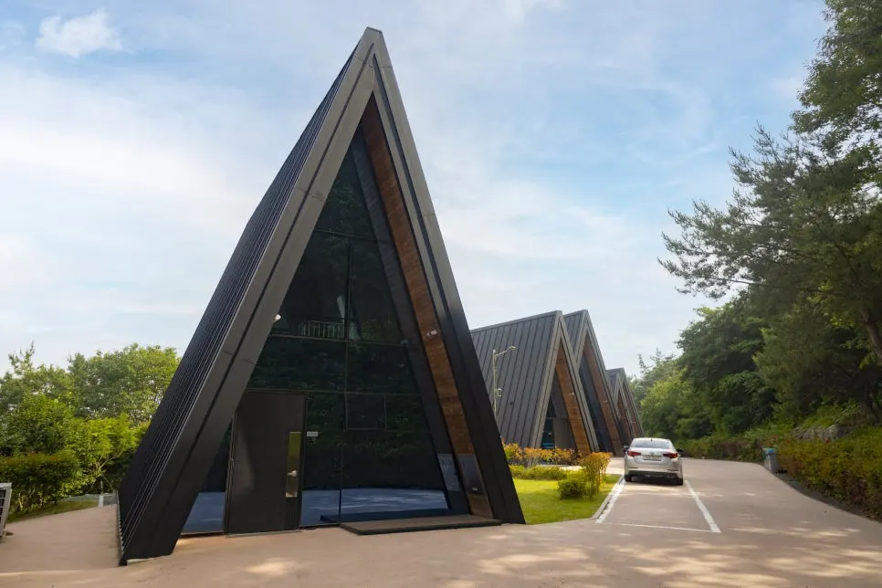 IMG_7009.jpg?type=w966