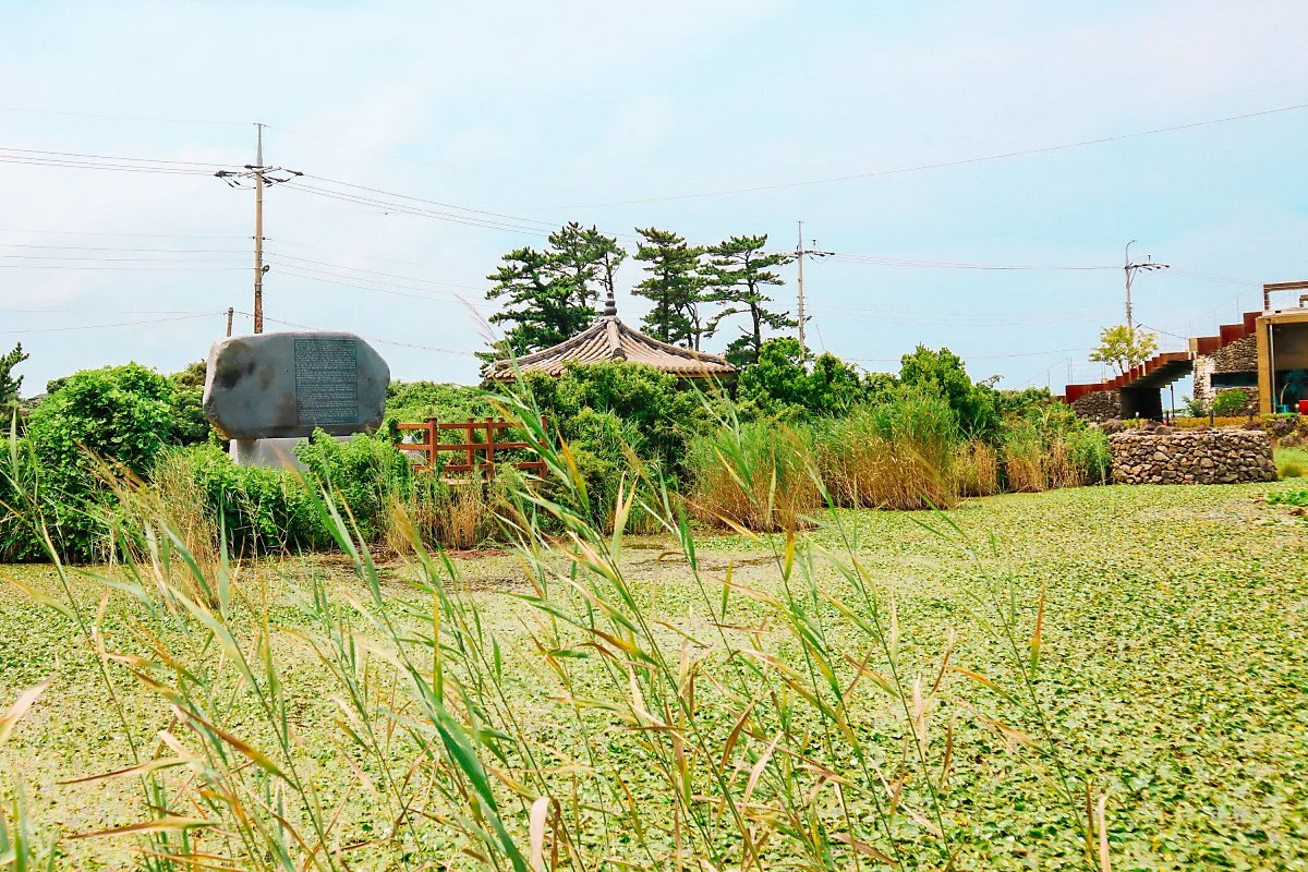 d_%EB%82%A8%EC%83%9D%EC%9D%B4%EB%AA%BB_4.JPG?type=w1200