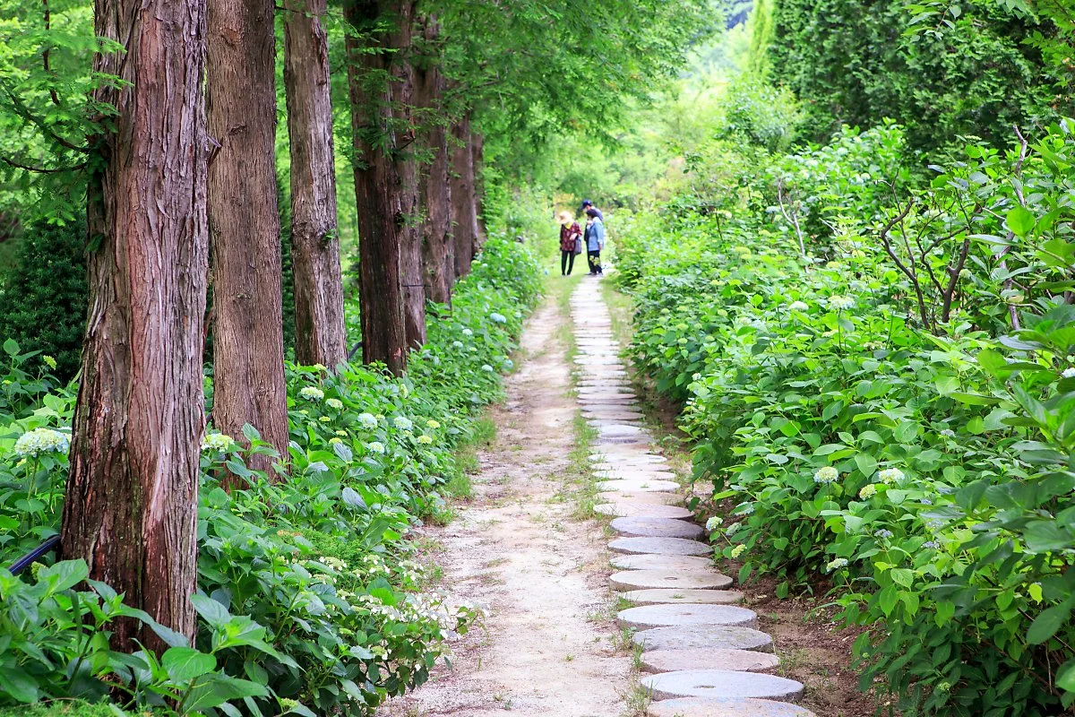 %EA%B7%B8%EB%A0%88%EC%9D%B4%EC%8A%A4%EC%A0%95%EC%9B%90_%281%29.JPG?type=w1200