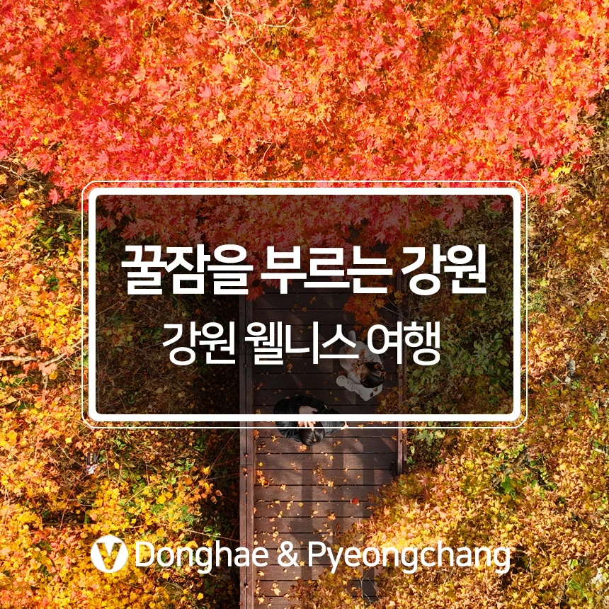 %EA%B0%95%EC%9B%90%EC%9B%B0%EB%8B%88%EC%8A%A43.jpg?type=w966