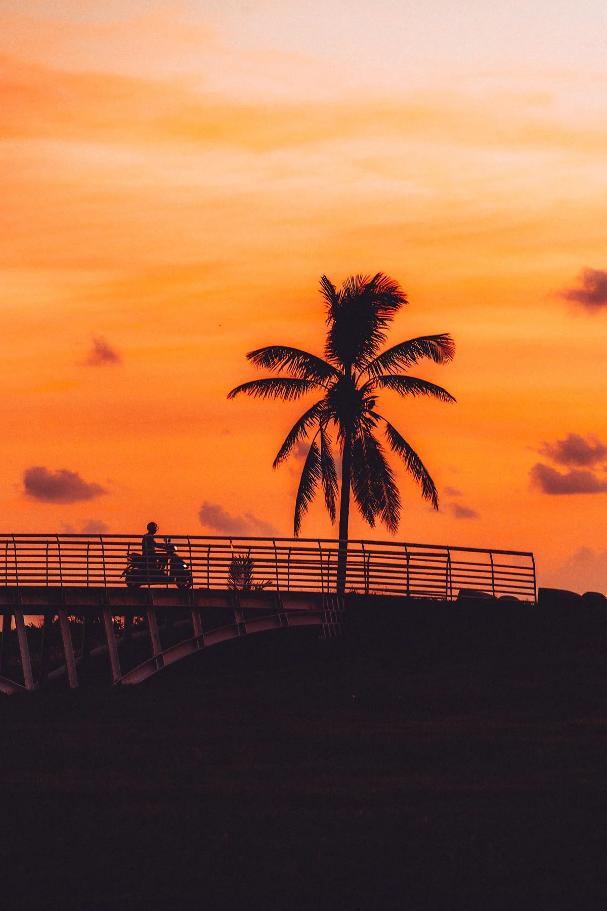 %ED%95%B4%EB%B9%88%EA%B3%B5%EC%9B%90_%281%29.jpg?type=w1200