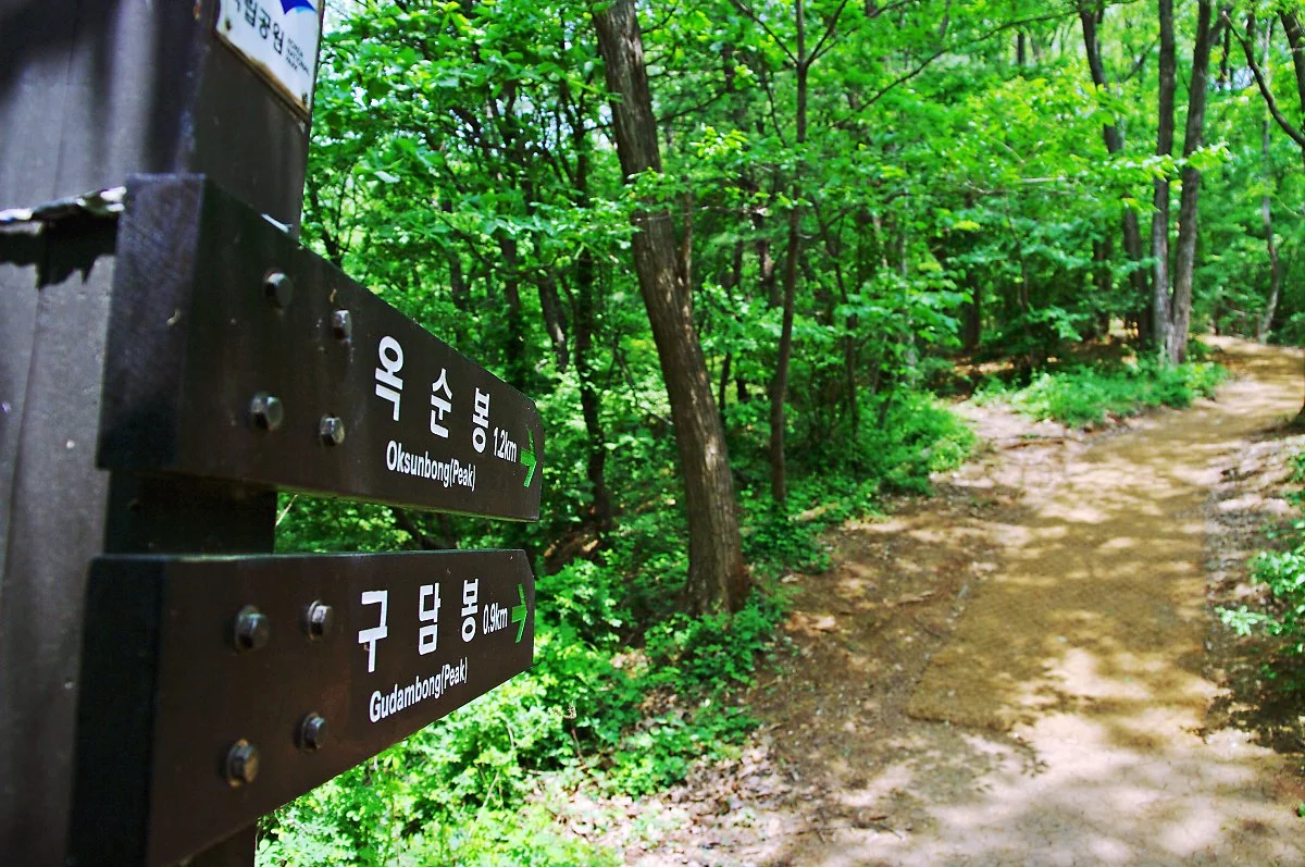 %EC%9D%B4%EC%A0%95%ED%91%9C%EB%A5%BC_%EB%94%B0%EB%9D%BC_%EA%B5%AC%EB%8B%B4%EB%B4%89_%EC%AA%BD%EC%9C%BC%EB%A1%9C_%EA%B0%84%EB%8B%A4..JPG?type=w1200