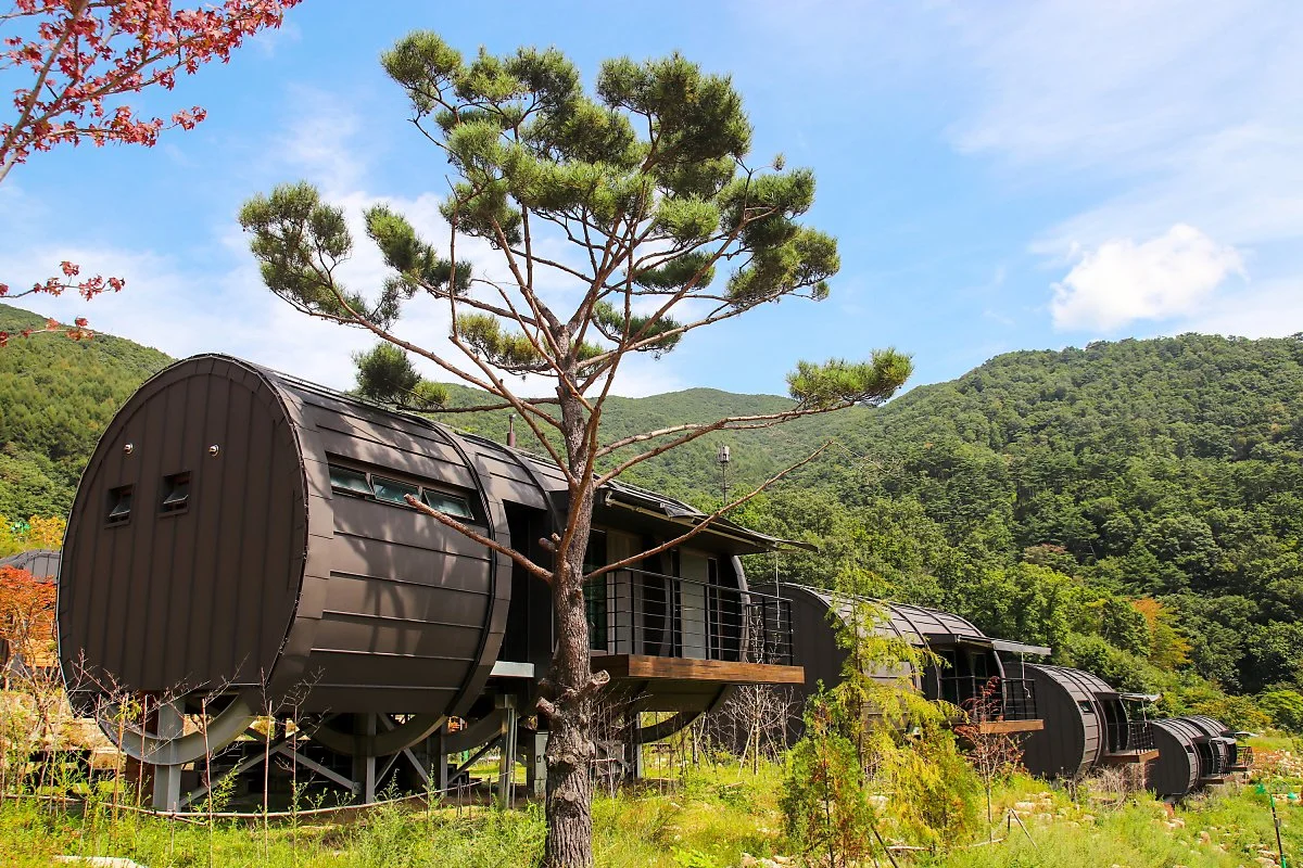 %EC%88%B2%EC%86%8D%EC%9D%98%EC%A7%91_%EB%8C%80%EB%82%98%EB%AC%B4%EB%91%A5%EC%A7%804.jpg?type=w1200