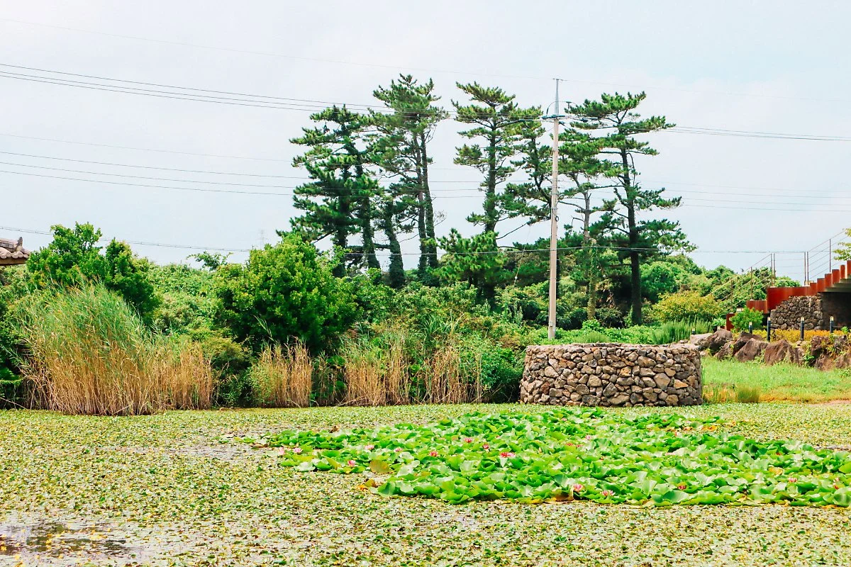 d_%EB%82%A8%EC%83%9D%EC%9D%B4%EB%AA%BB_5.JPG?type=w1200