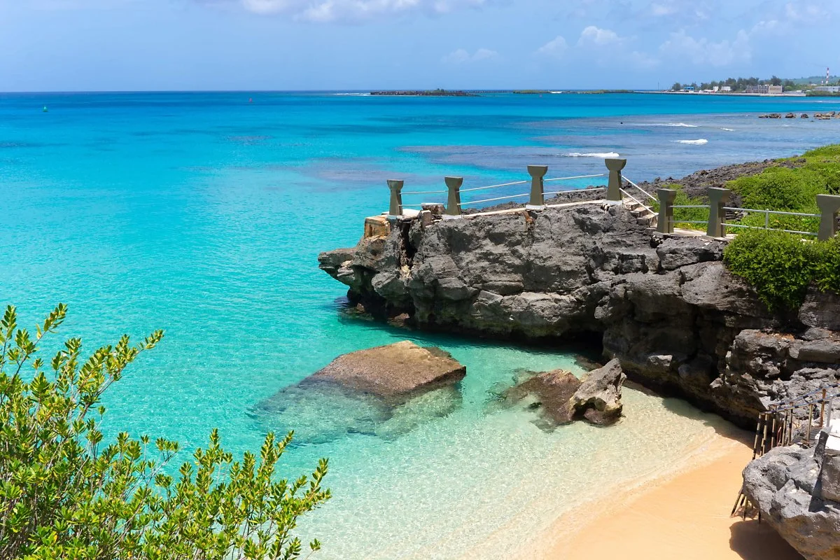 %ED%83%80%EA%B0%80%EB%B9%84%EC%B9%98.jpg?type=w1200