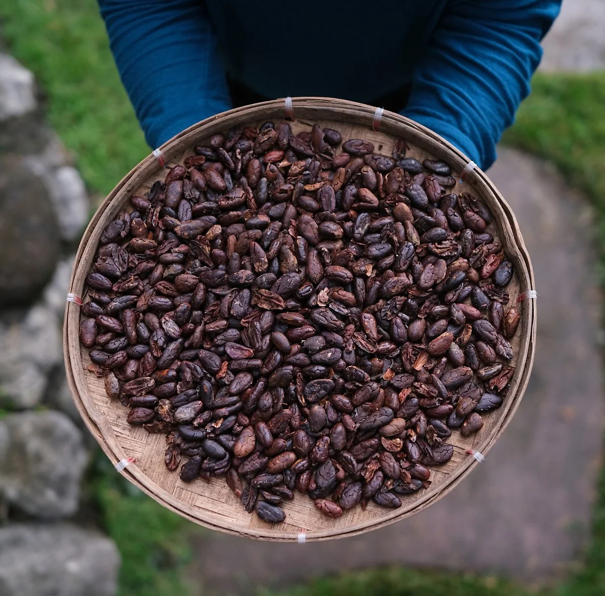 image_6646947311696385183952.jpg?type=w1200