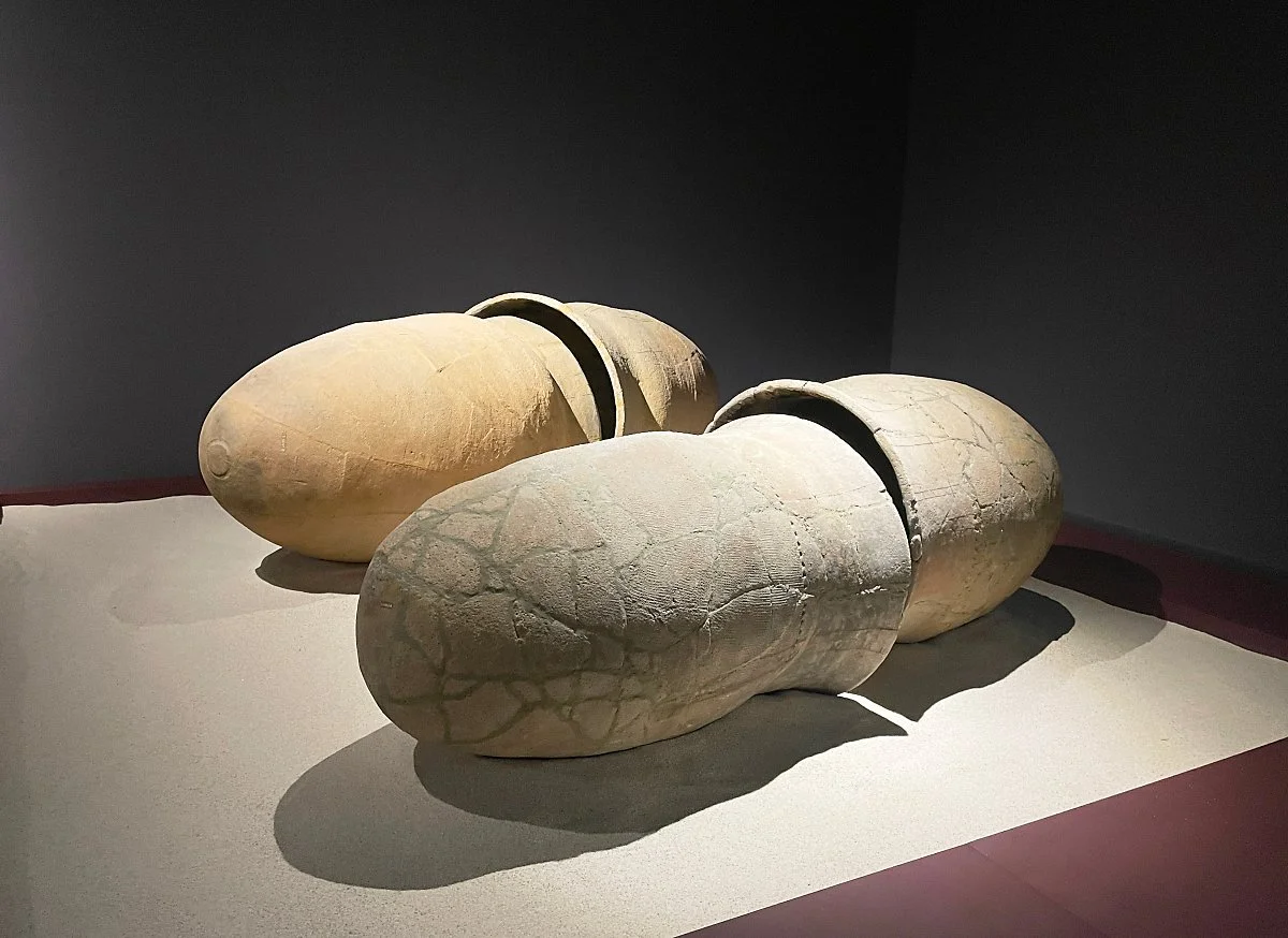 %EA%B5%AD%EB%A6%BD%EA%B4%91%EC%A3%BC%EB%B0%95%EB%AC%BC%EA%B4%80_%EC%A0%95%EC%9D%80%EC%A3%BC_%282%29.JPG?type=w1200