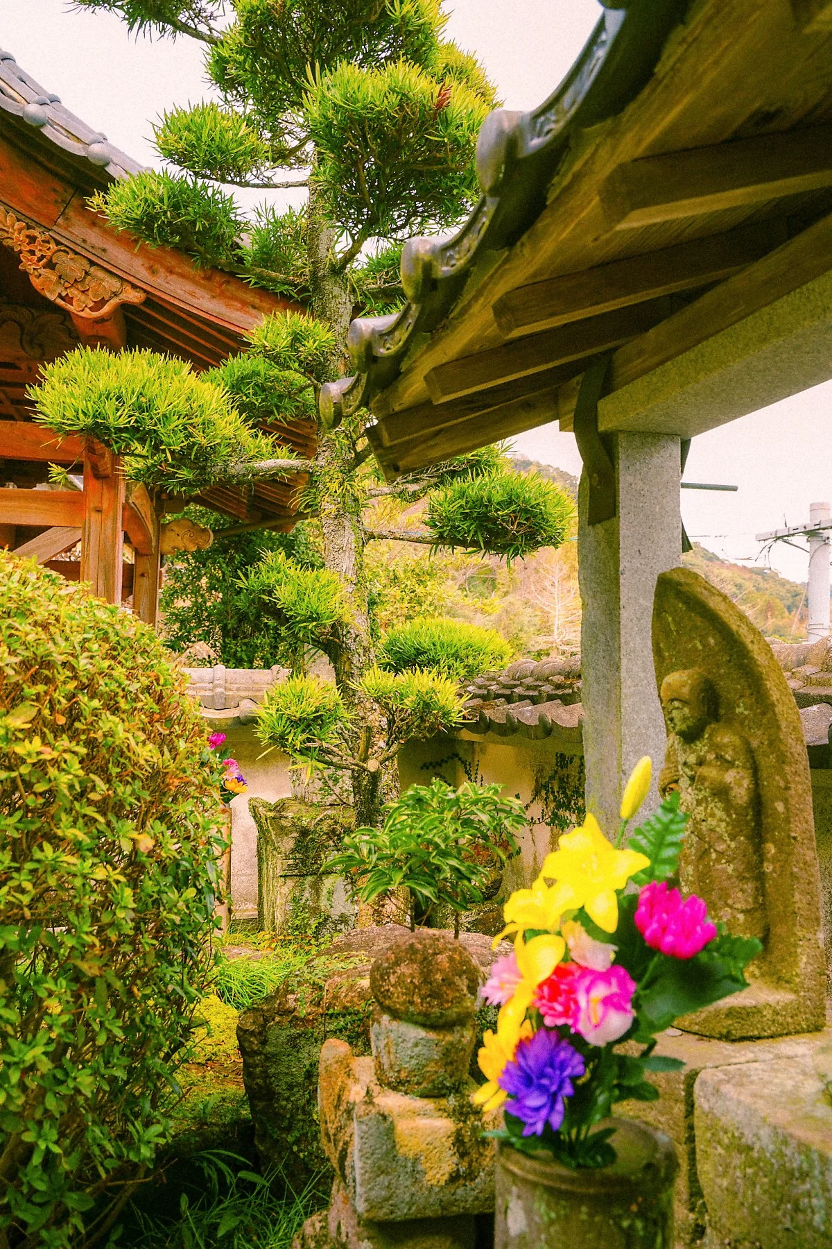 %ED%9B%84%EC%BF%A0%EC%A3%BC%EC%A7%80_%282%29.jpg?type=w1200