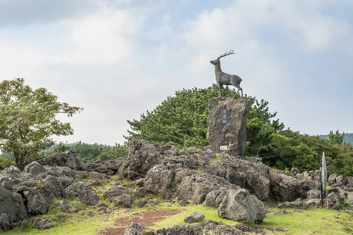 %EC%82%B0%EA%B5%BC%EB%B6%80%EB%A6%AC_%281%29.jpg?type=w1200