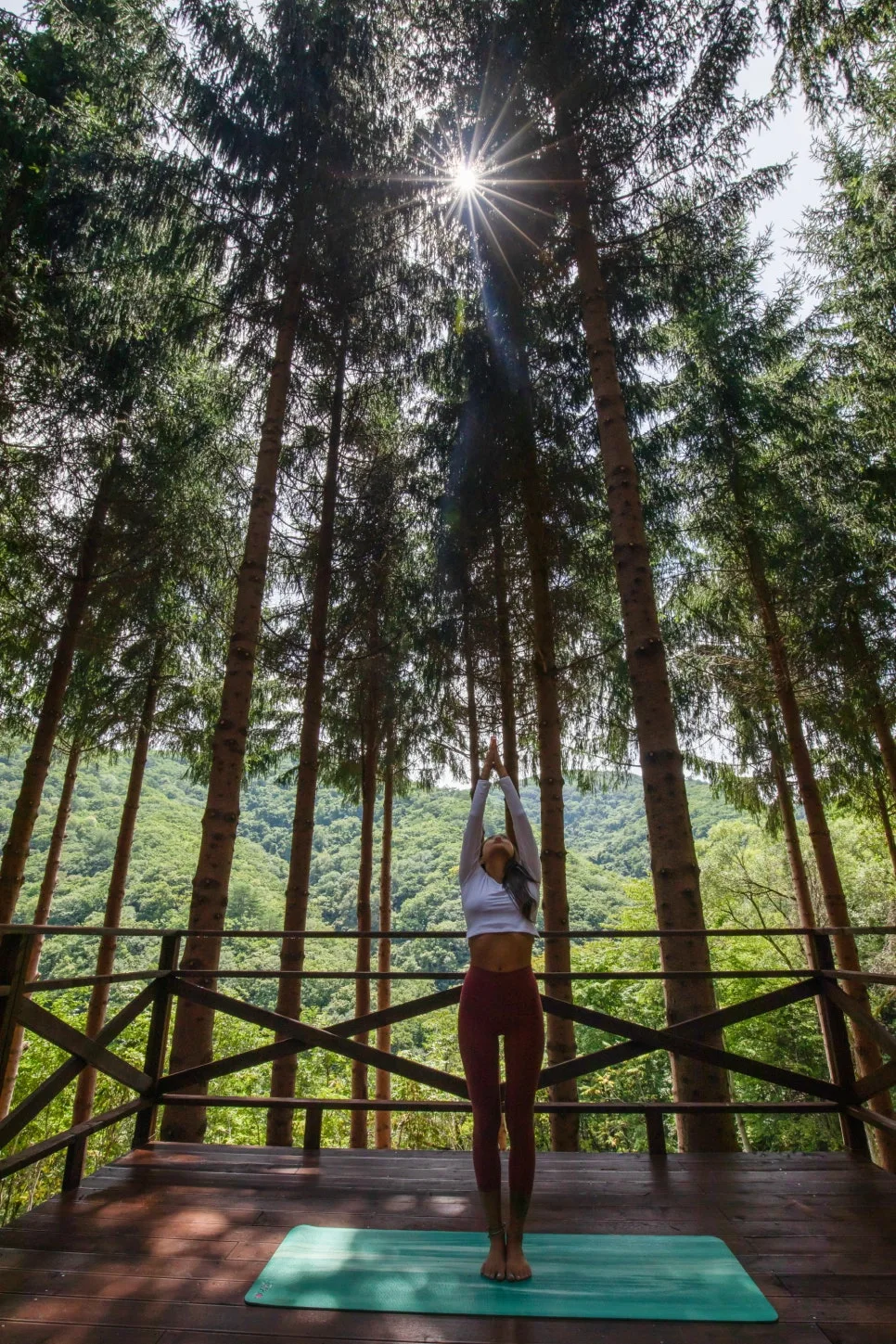 %EC%95%A0%EB%8B%88%ED%8F%AC%EB%A0%88_%EC%9B%B0%EB%8B%88%EC%8A%A4_(18).jpg?type=w966