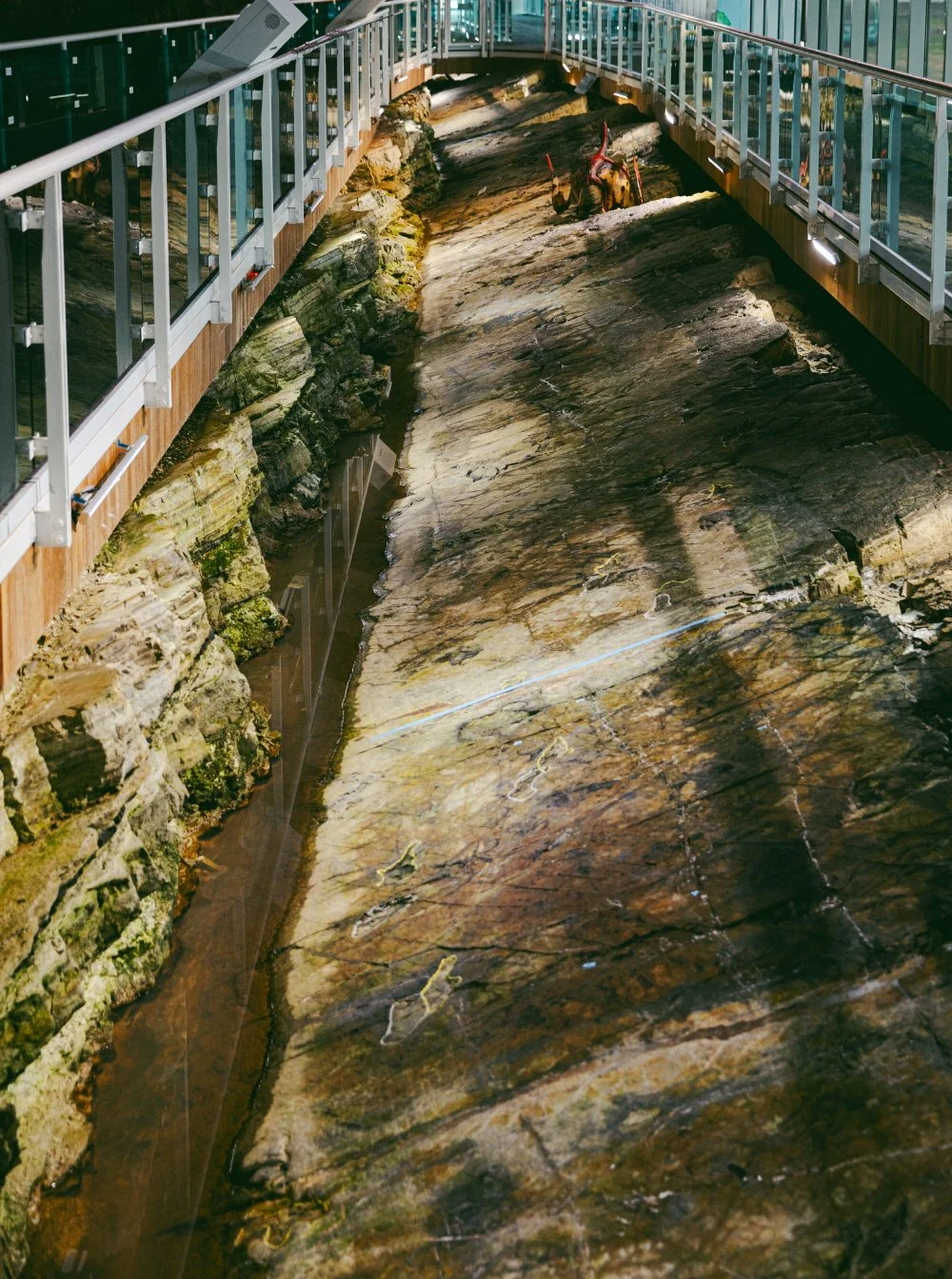 686A9965.jpg?type=w1200