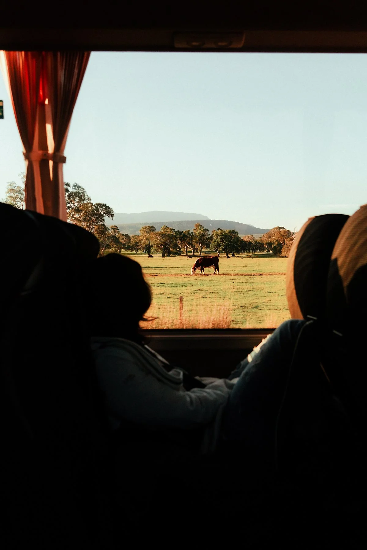 %EB%B2%84%EC%8A%A4_%EC%95%88_%ED%92%8D%EA%B2%BD.jpg?type=w1200