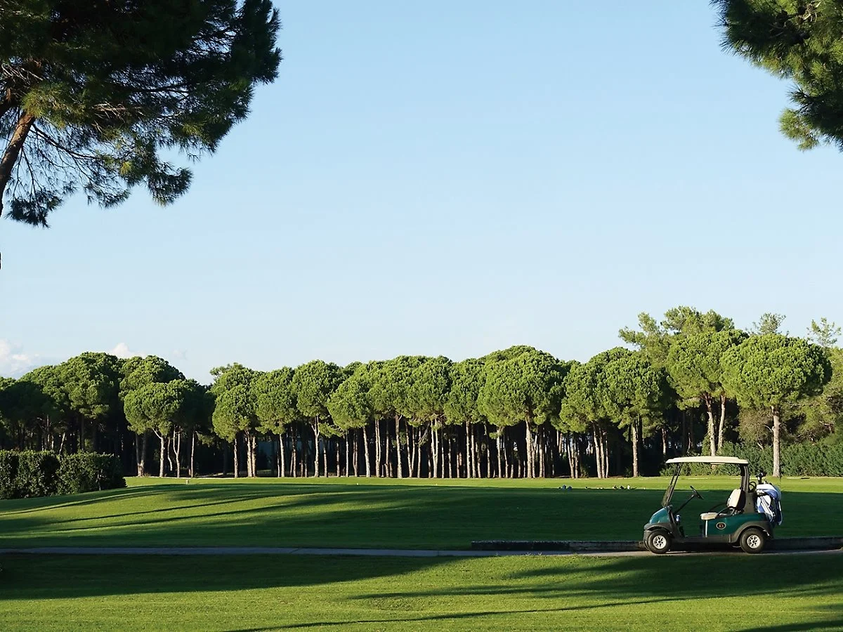 %EA%B8%80%EB%A1%9C%EB%A6%AC%EC%95%84GC_%2833%29.JPG?type=w1200