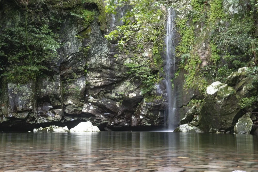 %ED%81%AC%EA%B8%B0%EB%B3%80%ED%99%98%EC%9D%B4%EC%8A%B9%EC%9D%B4%EC%98%A4%EB%A6%84_%289%29.jpg?type=w1200