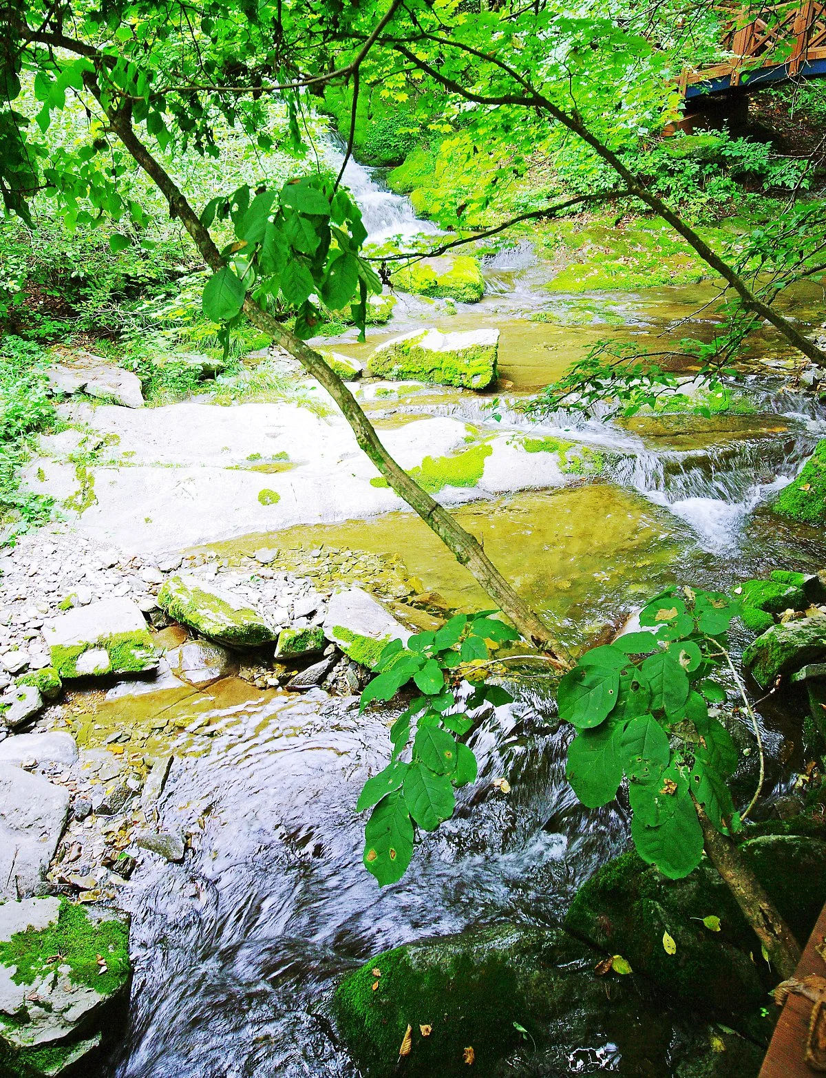 %EA%B2%80%EB%A3%A1%EC%86%8C%EC%97%90%EC%84%9C_%ED%9D%98%EB%9F%AC%EB%82%B4%EB%A6%B0_%EB%AC%BC%EC%9D%B4_%EB%A7%8C%EB%93%A0_%EC%B2%AB_%EA%B3%84%EA%B3%A1.JPG?type=w1200