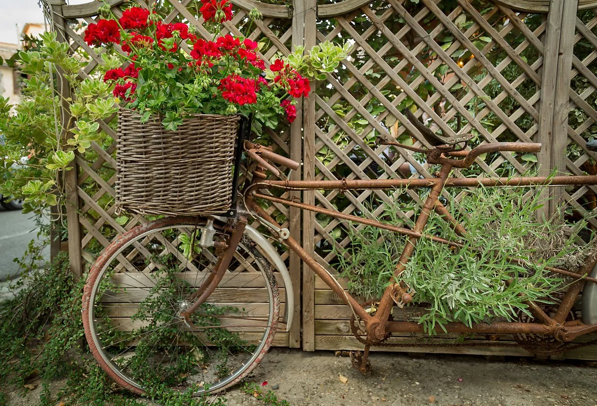 %EB%9D%BC_%ED%90%81%ED%85%90%28La_Fontaine%29_%EB%A0%88%EC%8A%A4%ED%86%A0%EB%9E%91_-%EB%B9%8C%EB%9D%BC%EB%A5%B4_%EB%A7%88%EC%9D%84_%281%29.jpg?type=w1200