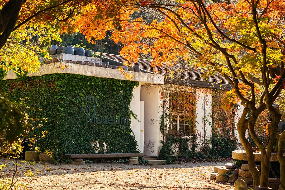 %EC%95%84%EB%AF%B8%EB%AF%B8%EC%88%A0%EA%B4%80_001.jpg?type=w1200