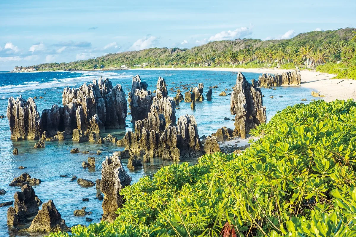 4._%EB%82%98%EC%9A%B0%EB%A3%A8_Nauru3.jpg?type=w1200