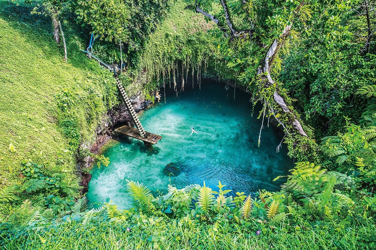 %EC%82%AC%EB%AA%A8%EC%95%84_Samoa2_%EC%82%AC%EB%B3%B8.jpg?type=w1200