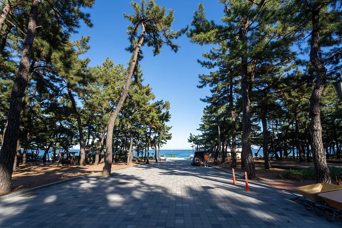 %EC%9E%85%EA%B5%AC%EC%97%90%EC%84%9C_%EC%BA%A0%ED%95%91%EC%9E%A5_%EB%93%A4%EC%96%B4%EA%B0%80%EB%8A%94_%EA%B8%B8.jpg?type=w1200