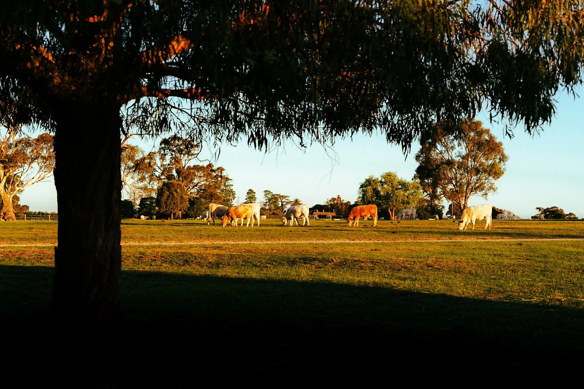 %EB%A7%88%EC%9A%B4%ED%8A%B8_%EC%9C%8C%EB%A6%AC%EC%97%84_%EC%8A%A4%ED%85%8C%EC%9D%B4%EC%85%98_%284%29.jpg?type=w1200