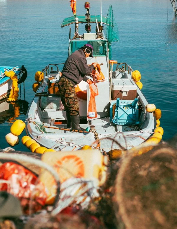 %EC%9E%A5%ED%98%B8%ED%95%AD_%2812%29.jpg?type=w1200&type=w1200