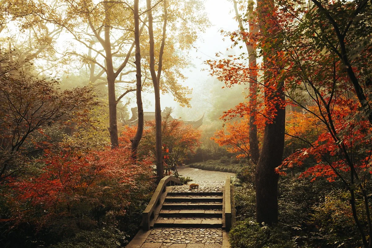 %EC%98%81%EB%B3%B5%EC%82%AC_%281%29.jpg?type=w1200