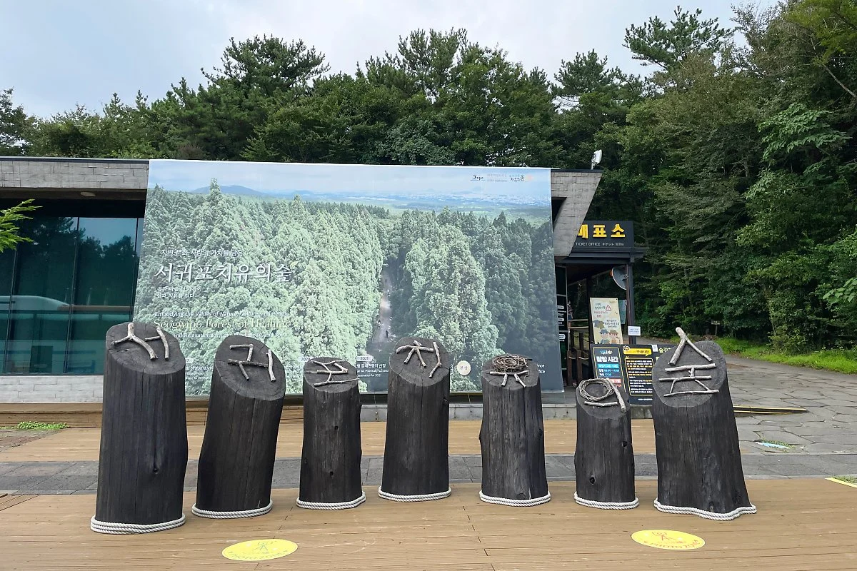 %EC%84%9C%EA%B7%80%ED%8F%AC%EC%B9%98%EC%9C%A0%EC%9D%98%EC%88%B2_%2826%29.JPG?type=w1200