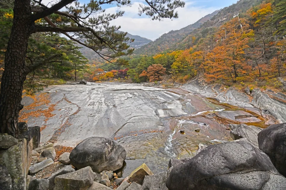 %EB%8F%99%ED%95%B4_%EB%AC%B4%EB%A6%89%EA%B3%84%EA%B3%A103.jpg?type=w966