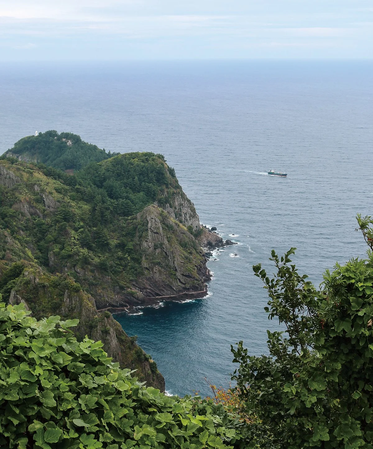 image_6012953091540960817547.jpg?type=w1200