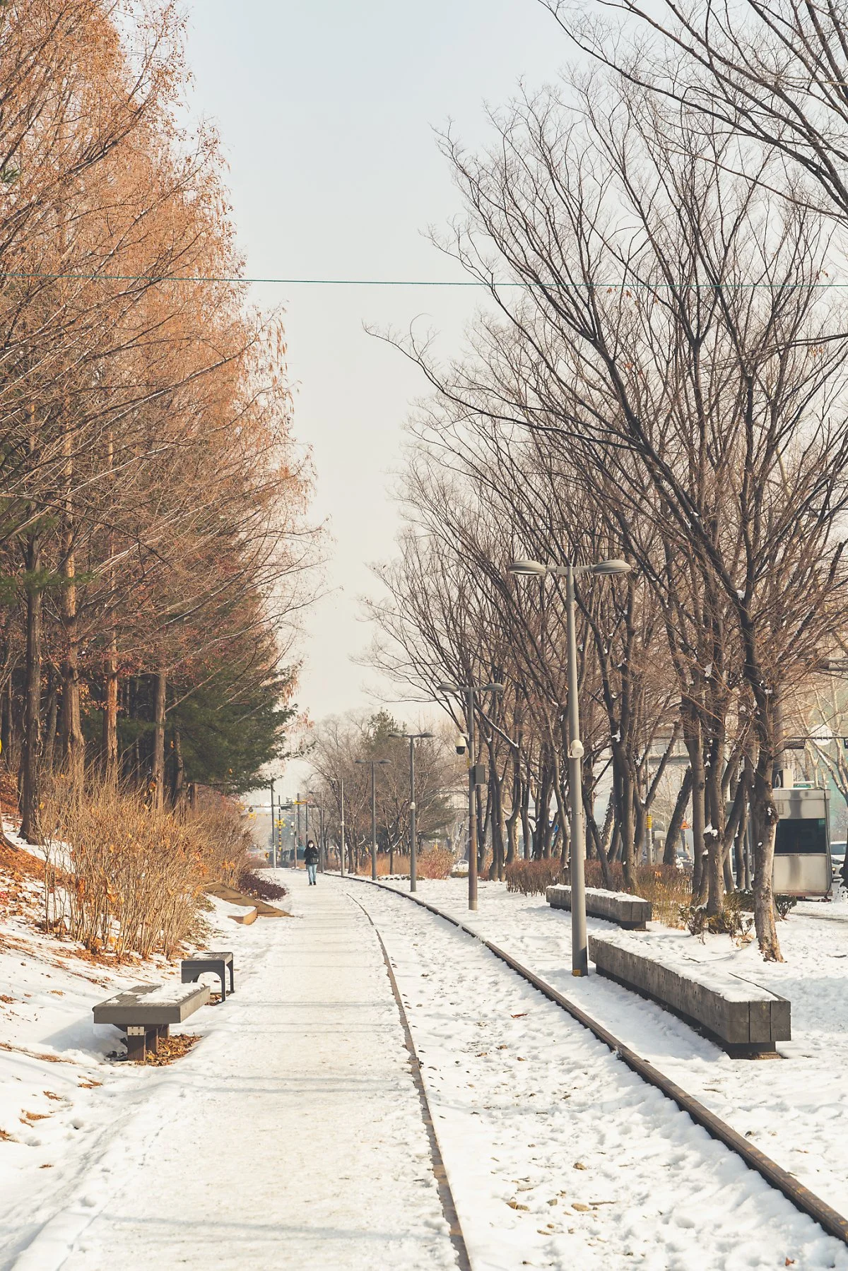 %EA%B2%BD%EC%B6%98%EC%84%A0%EC%88%B2%EA%B8%B8_%EC%98%9B%EA%B2%BD%EC%B6%98%EC%84%A0%EC%B2%A0%EB%A1%9C.jpg?type=w1200