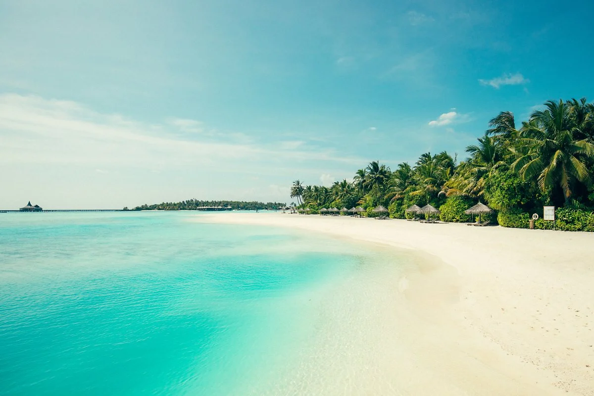 %EB%AA%B0%EB%94%94%EB%B8%8C_%EC%95%84%EB%82%9C%ED%83%80%EB%9D%BC_-69.jpg?type=w1200