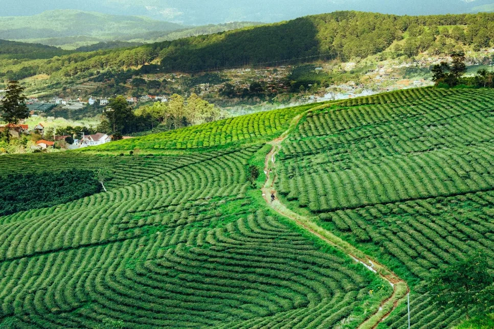 %EA%B9%8C%EB%8B%B7_%ED%8B%B0_%EC%96%B8%EB%8D%95_(9).jpg?type=w966