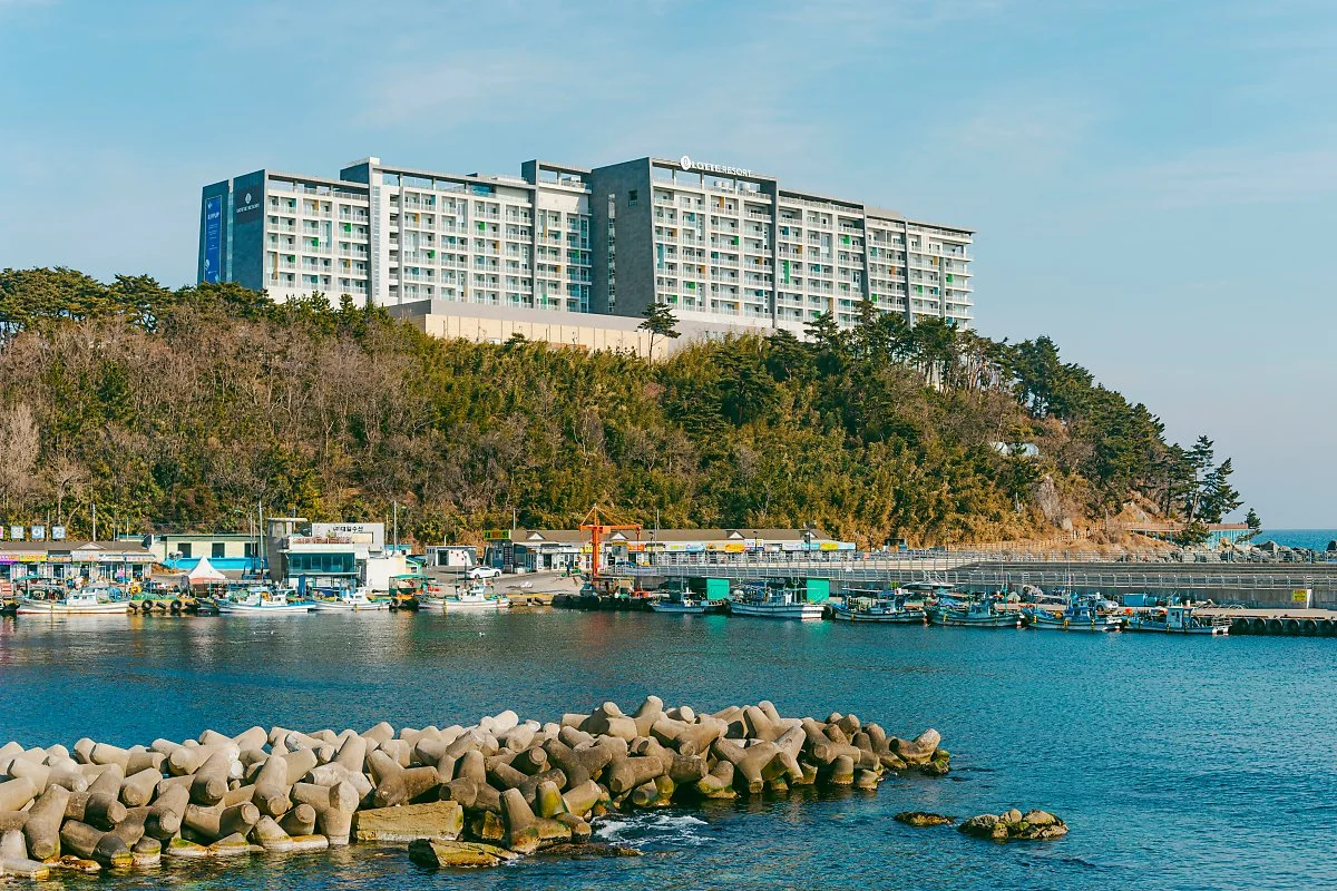 d_%EC%99%B8%EC%98%B9%EC%B9%98%ED%95%AD.jpg?type=w1200